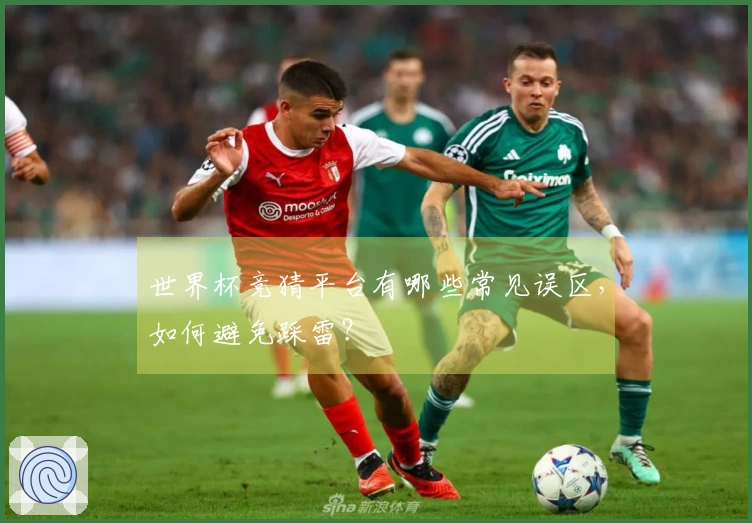 世界杯竞猜平台有哪些常见误区，如何避免踩雷？