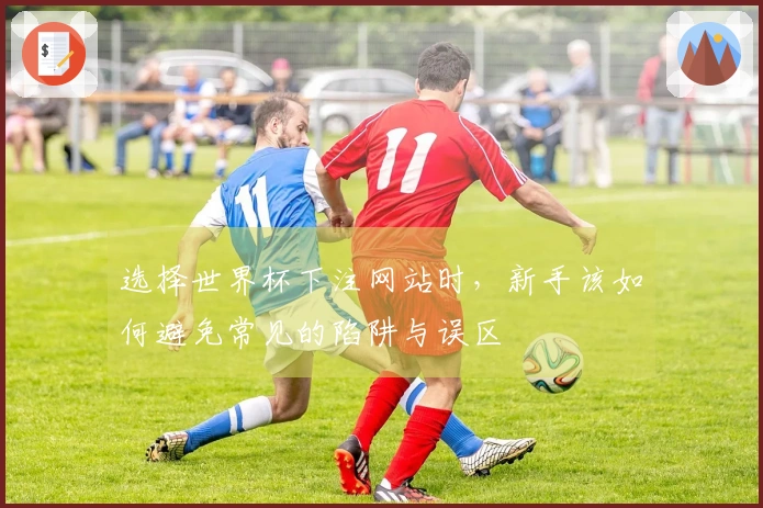 选择世界杯下注网站时，新手该如何避免常见的陷阱与误区