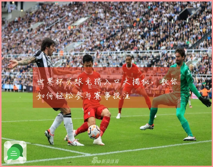 世界杯买球竞猜入口大揭秘，教你如何轻松参与赛事投注