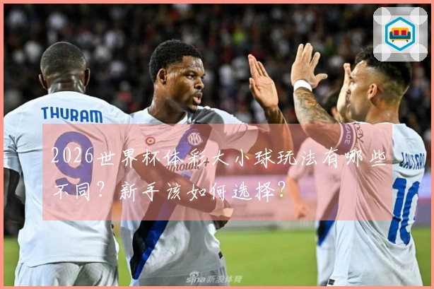 2026世界杯体彩大小球玩法有哪些不同？新手该如何选择？